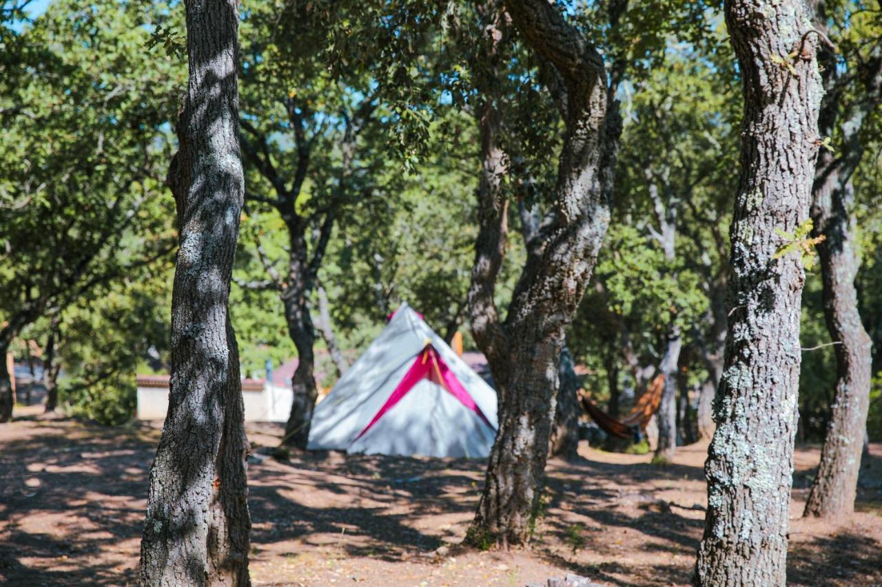 Camping Ladouceur 拉马蒂埃勒 外观 照片