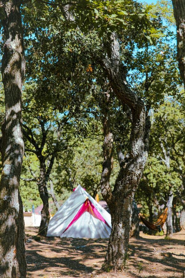 Camping Ladouceur 拉马蒂埃勒 外观 照片