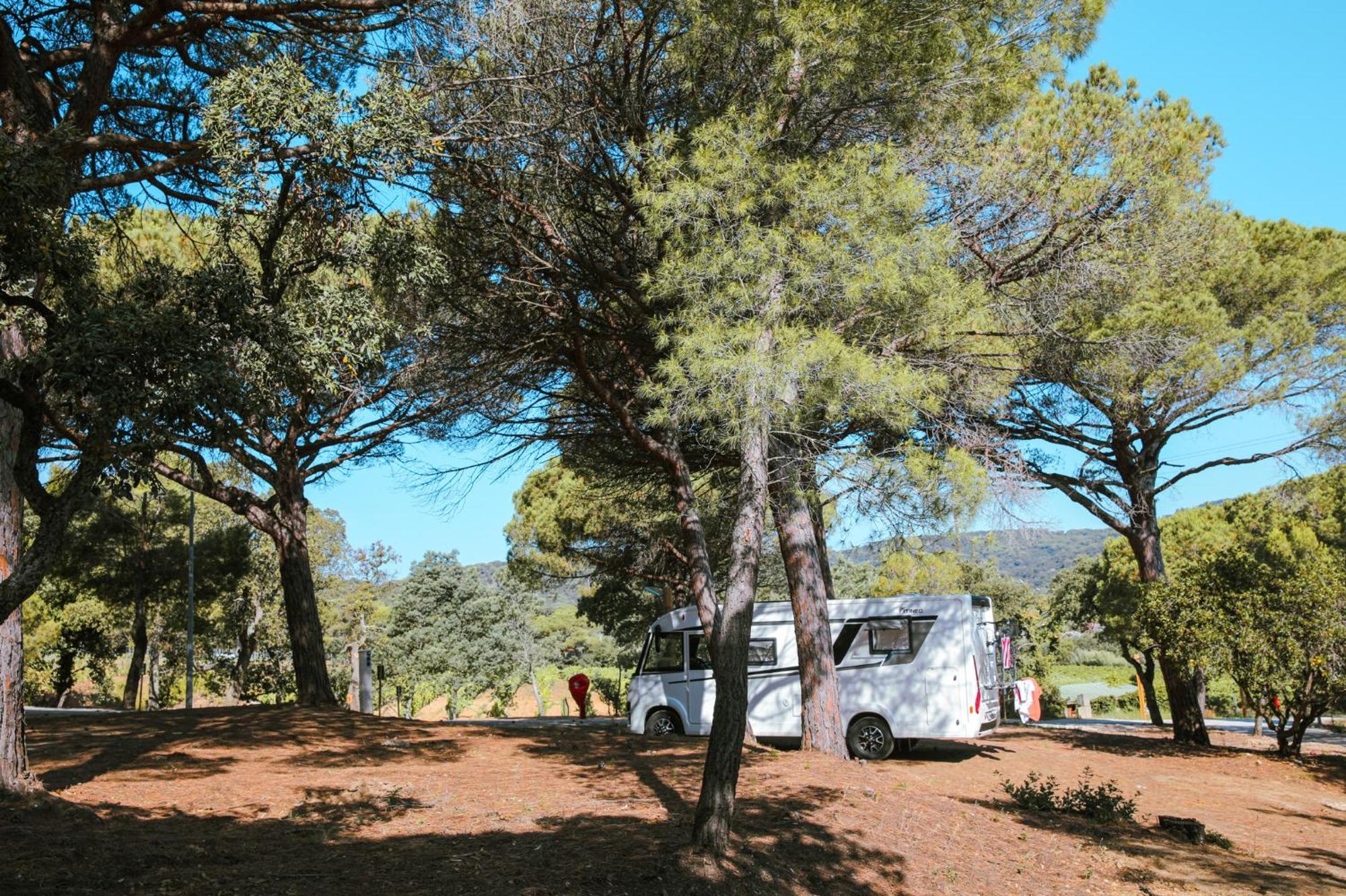 Camping Ladouceur 拉马蒂埃勒 外观 照片